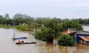 Cảnh báo lũ từ Bình Định đến Ninh Thuận có khả năng lên lại