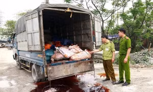 Bắt giữ ô tô chở 13 tấn mỡ động vật không rõ nguồn gốc