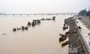 Lũ khẩn cấp trên các sông