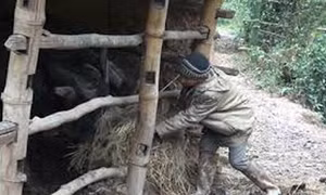 Đồng bào ngóng chờ hỗ trợ