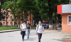 Sẵn sàng cho việc xét tuyển