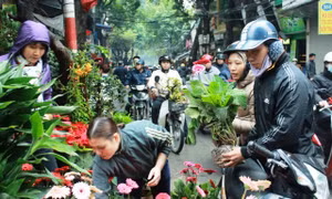 Đi chợ Bưởi xem hoa Xuân