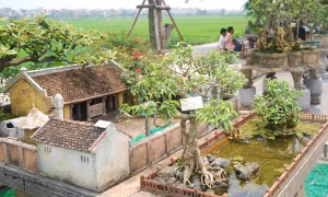 "Sởn da gà" với tiểu cảnh Quê nội