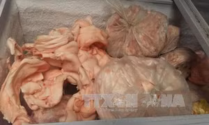 Xe bán tải chở lượng lớn thịt lợn bốc mùi hôi thối