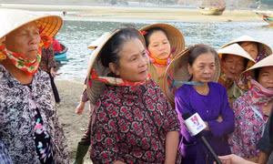 Ngư dân miền Trung ngóng hỗ trợ 