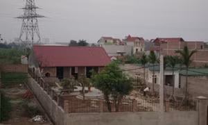 Làm rõ vi phạm đất đai tại Đông Anh, Hà Nội
