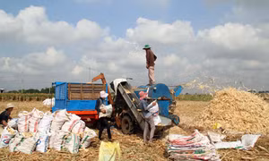 Xây dựng nông thôn mới bằng thế trận lòng dân