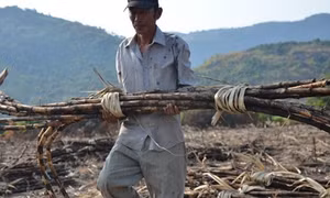 Cháy lớn tại Nhà máy đường Thành Thành Công Tây Ninh