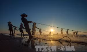 Kéo rùng - nghề truyền thống độc đáo của ngư dân xứ Thanh