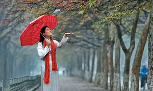 Mưa xuân