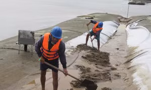  Phân rõ các vùng chịu ảnh hưởng nghiêm trọng của bão lũ