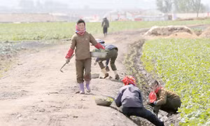 Hé lộ những bí ẩn về đời sống nông thôn Triều Tiên