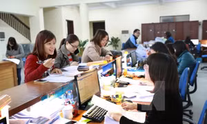 Hải quan thu ngân sách đạt gần 97% dự toán 