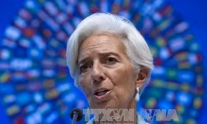 Tổng Giám đốc IMF bị xác định mắc tội "tắc trách"