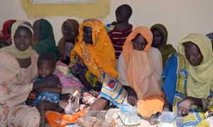 Nigeria giải cứu gần 40 phụ nữ và trẻ em khỏi tay Boko Haram