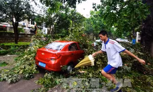Trung Quốc chuẩn bị ứng phó với bão Malakas 