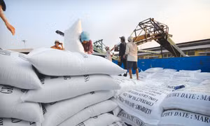 Doanh nghiệp cẩn trọng khi xuất khẩu gạo sang Mỹ 