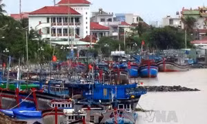 Cảng cá Phường 6 tiếp tục bị xói lở, bồi lấp nghiêm trọng