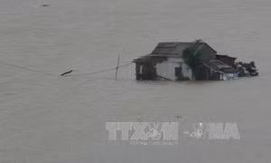 Lũ khẩn cấp ở Hà Tĩnh và Quảng Bình