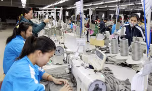 Dệt may liên kết dùng nguyên phụ liệu của nhau