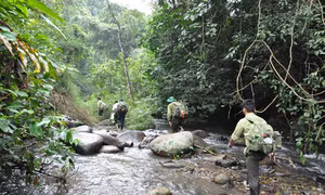 Bảo vệ “viên ngọc xanh” Chư Yang Sin giữa đại ngàn Tây Nguyên