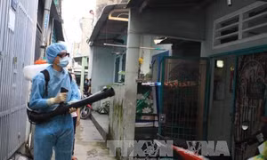 Thêm hai ca nhiễm vi rút Zika tại Thành phố Hồ Chí Minh 