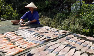 Giữ thương hiệu cho đặc sản Hải Phòng 