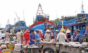 Gò Công Đông làm giàu từ biển