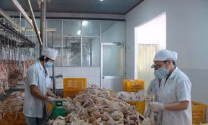 Kết nối doanh nghiệp với nông dân 
