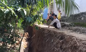 Đưa vào sử dụng bờ kè chống sạt lở sông Đồng Nai 