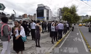 Động đất 7,2 độ Richter ở Ecuador