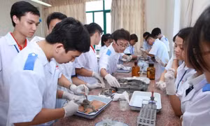 Phát triển các trường đại học, cao đẳng ngoài công lập