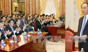 Chủ tịch nước tiếp đại biểu doanh nhân Việt Nam