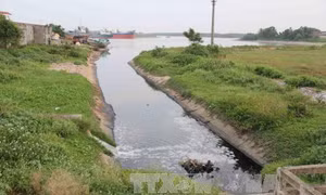 Bắt quả tang doanh nghiệp xả chất lỏng màu đen ra sông Thị Vải