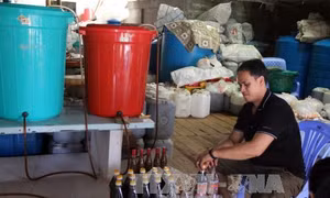 Kiệt tác thiên nhiên đảo Hòn Sơn 