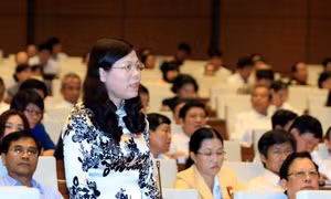 Quy định rõ về tỷ lệ đại biểu là phụ nữ, người dân tộc thiểu số