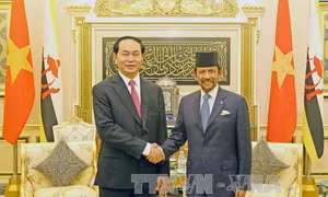 Việt Nam và Brunei, Singapore thúc đẩy triển khai các thỏa thuận 
