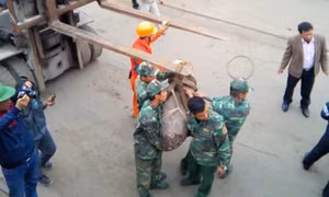 Phát hiện quả bom dài 1 mét mắc vào mỏ neo tàu hàng 