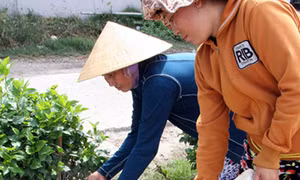 Bảo vệ nguồn tài nguyên nước