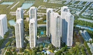 TP Hồ Chí Minh