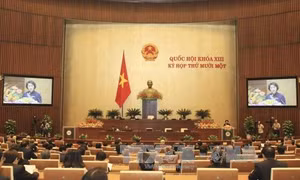 Một nhiệm kỳ nhiều dấu ấn