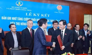 Thúc đẩy sản xuất, tiêu thụ nông sản
