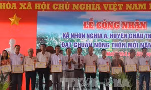Nhơn Nghĩa A chuyển mình nhờ trồng cây ăn quả có giá trị kinh tế cao 