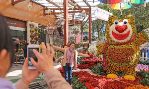 Festival Hoa Đà Lạt 2019 sẽ diễn ra từ ngày 20-24/12