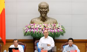 Phấn đấu cao nhất để đạt mục tiêu tăng trưởng 