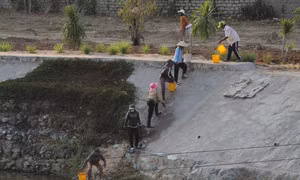 Sản xuất lương thực thay đổi do biến đổi khí hậu