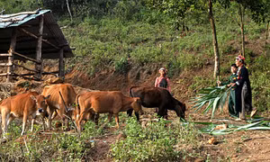 Điểm tựa cho chị em phát triển kinh tế