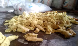 Phát hiện 76 bao tải măng tươi không rõ nguồn gốc 