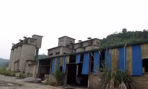 Cho thuê trái phép hàng chục nghìn m2 đất bãi sông Hồng