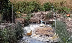 Rò rỉ khí biogas, 3 người tử vong